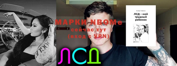 apvp Горно-Алтайск