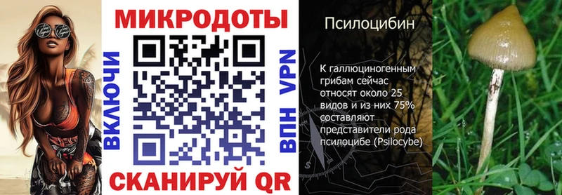 Псилоцибиновые грибы GOLDEN TEACHER  Малаховка 