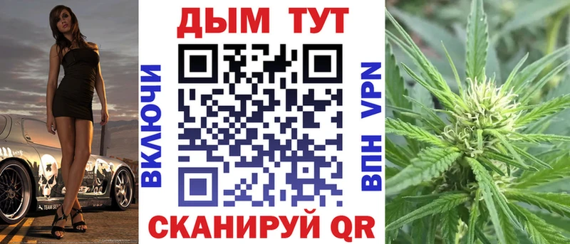 Каннабис OG Kush Малаховка